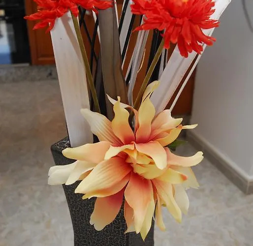 Apartmán El Del Mar *