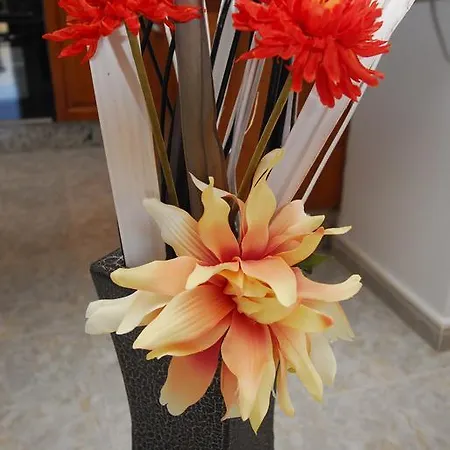 Apartment El Del Mar *